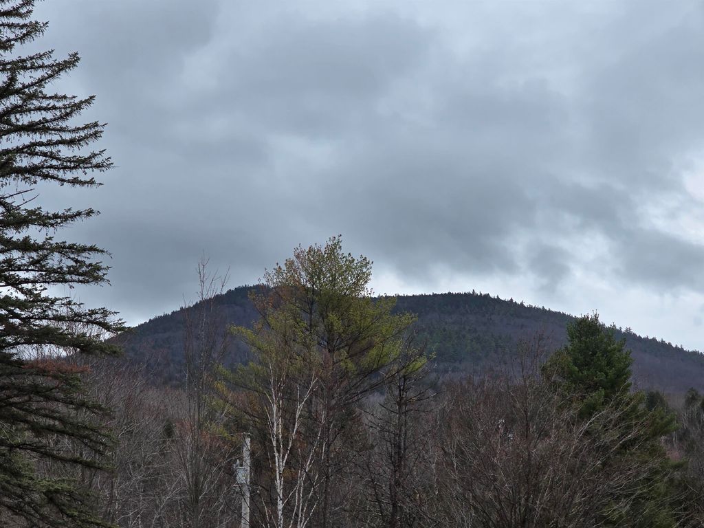 Photo of 1089 NH Route 16, Bartlett, NH 03838 (MLS # 5083929)