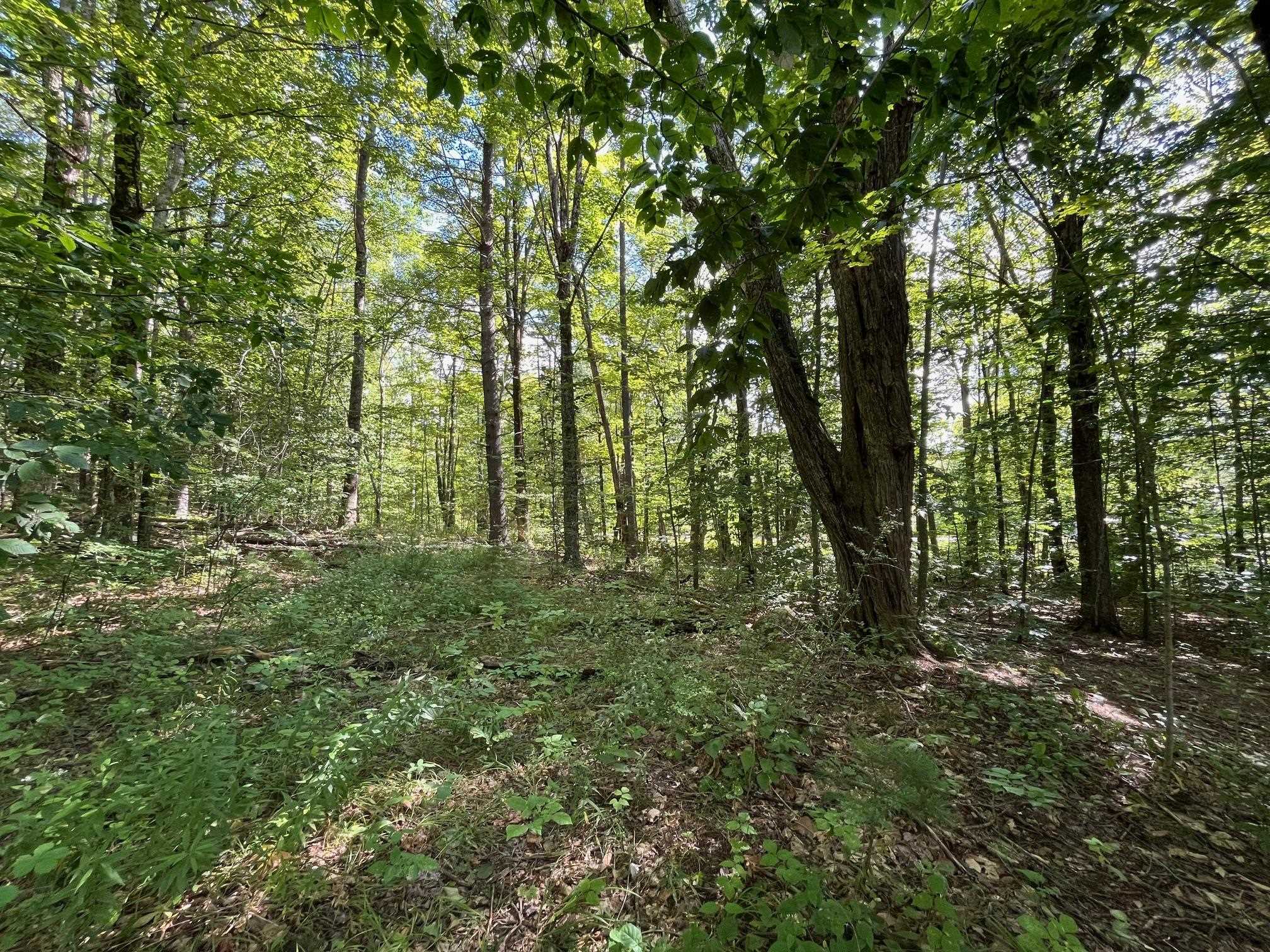 Lot 47-2 Baybutt Road Lot 47-2
