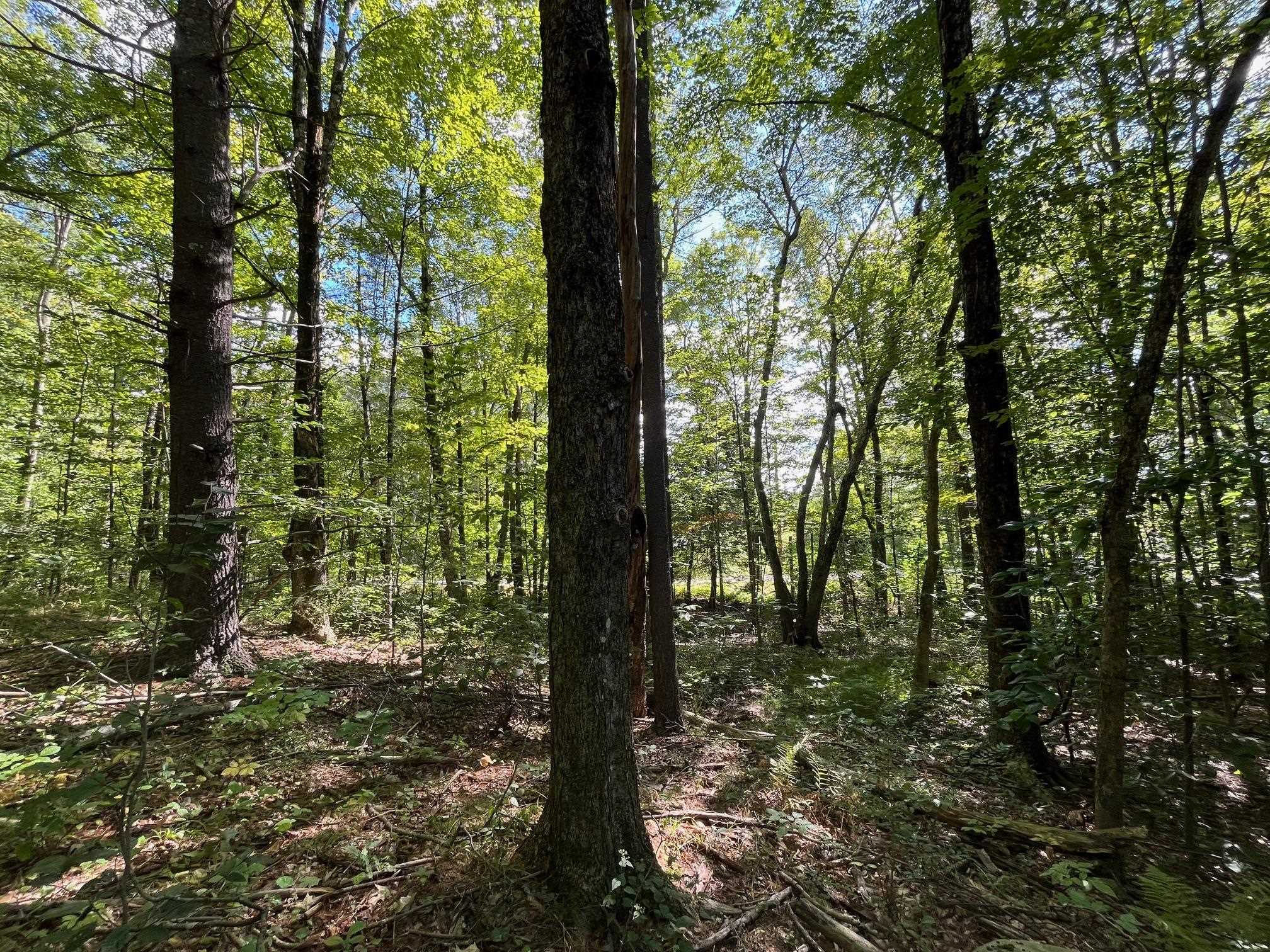 Lot 47-2 Baybutt Road Lot 47-2