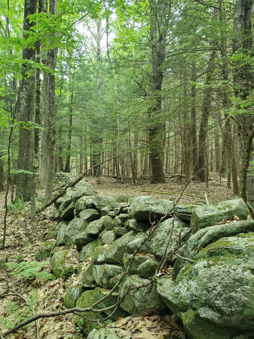 Photo of 00 Monadnock Highway, Swanzey, NH 03446 (MLS # 4999338)