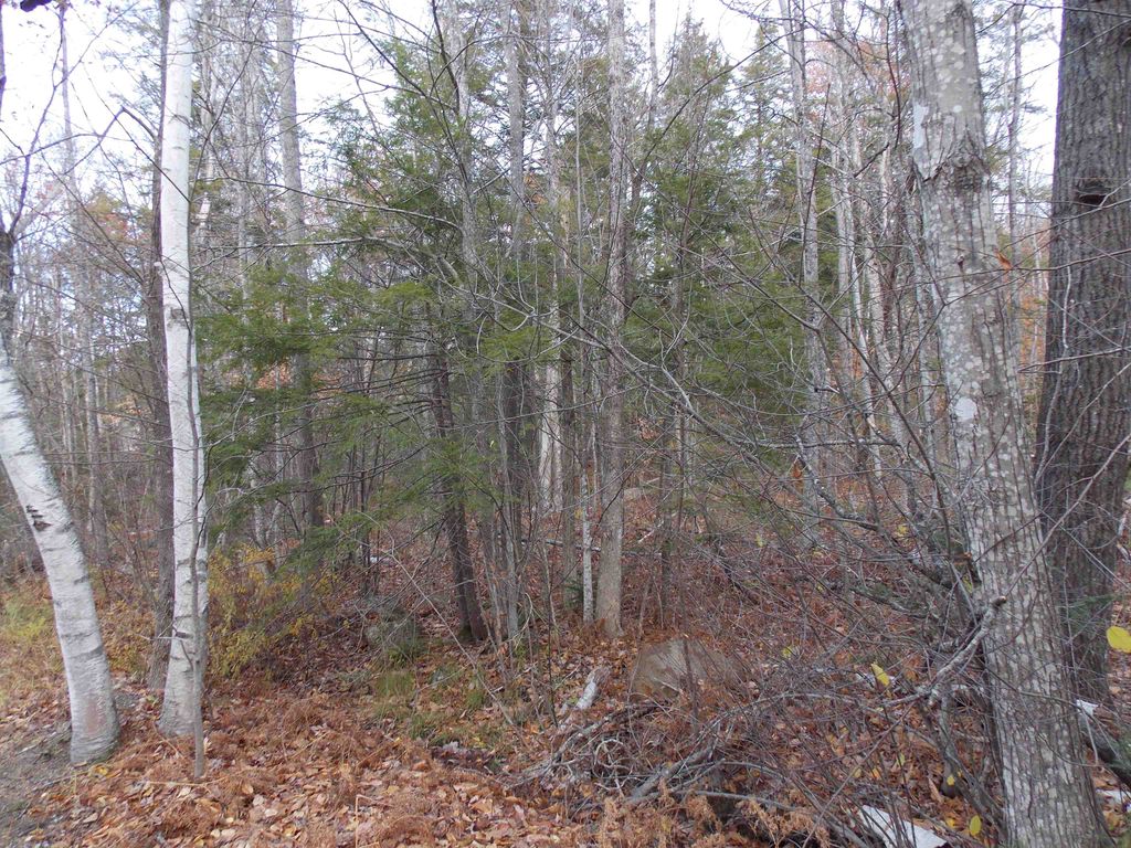 Photo of 49 Mittenwald Strasse Road, Bartlett, NH 03812 (MLS # 5069007)