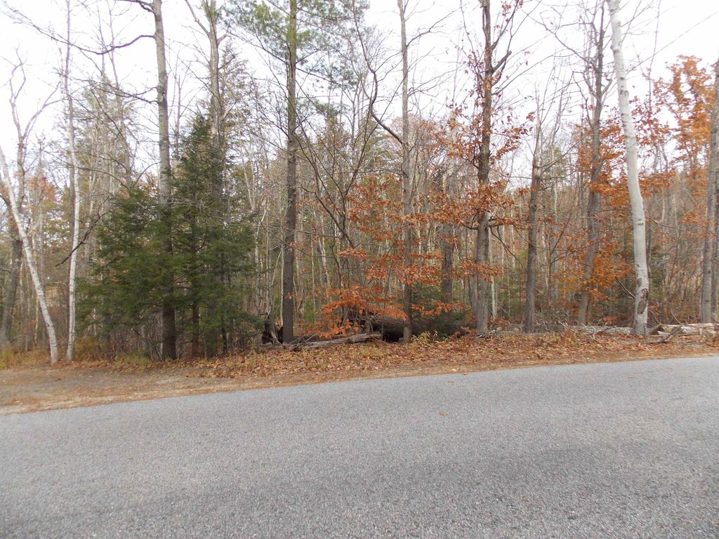 Photo of 49 Mittenwald Strasse Road, Bartlett, NH 03812 (MLS # 5069007)