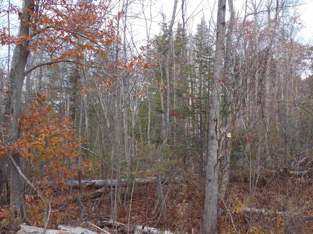 Photo of 49 Mittenwald Strasse Road, Bartlett, NH 03812 (MLS # 5069007)