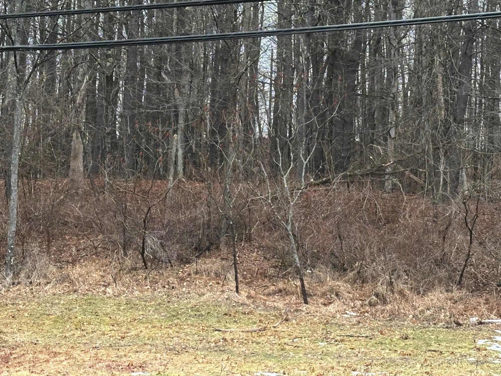 New Hampshire Route 119