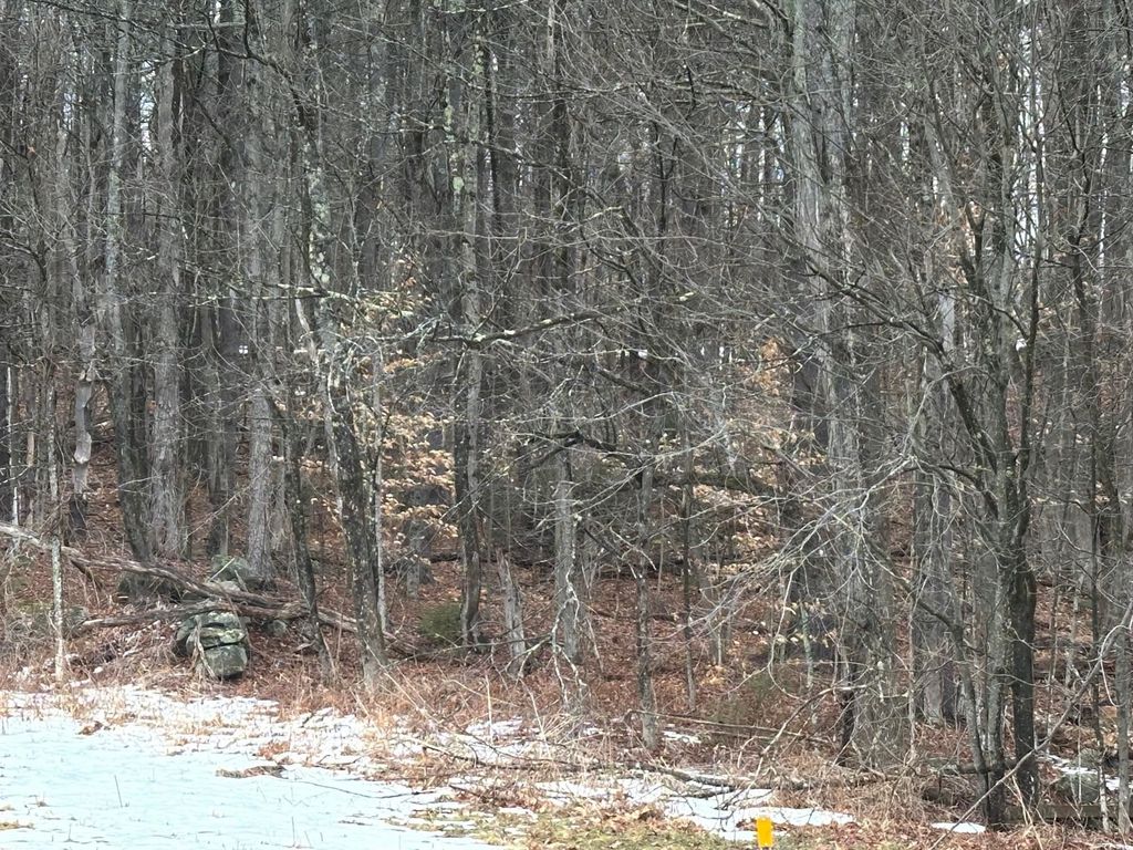 Photo of New Hampshire Route 119, Rindge, NH 03461 (MLS # 5079964)