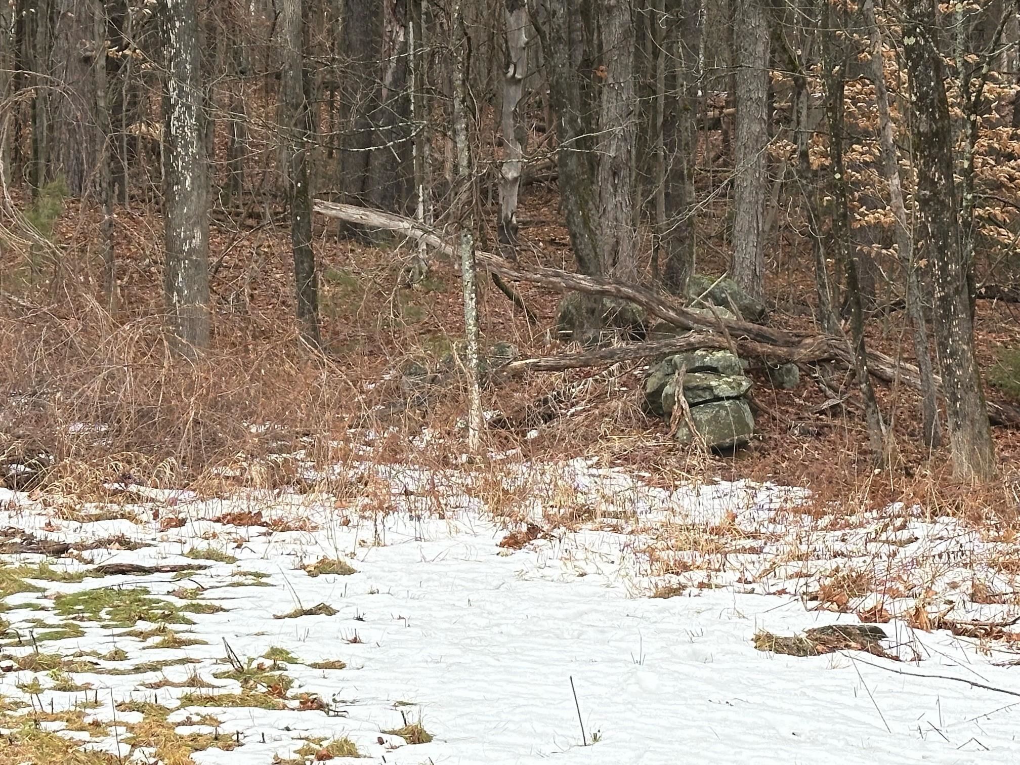 New Hampshire Route 119