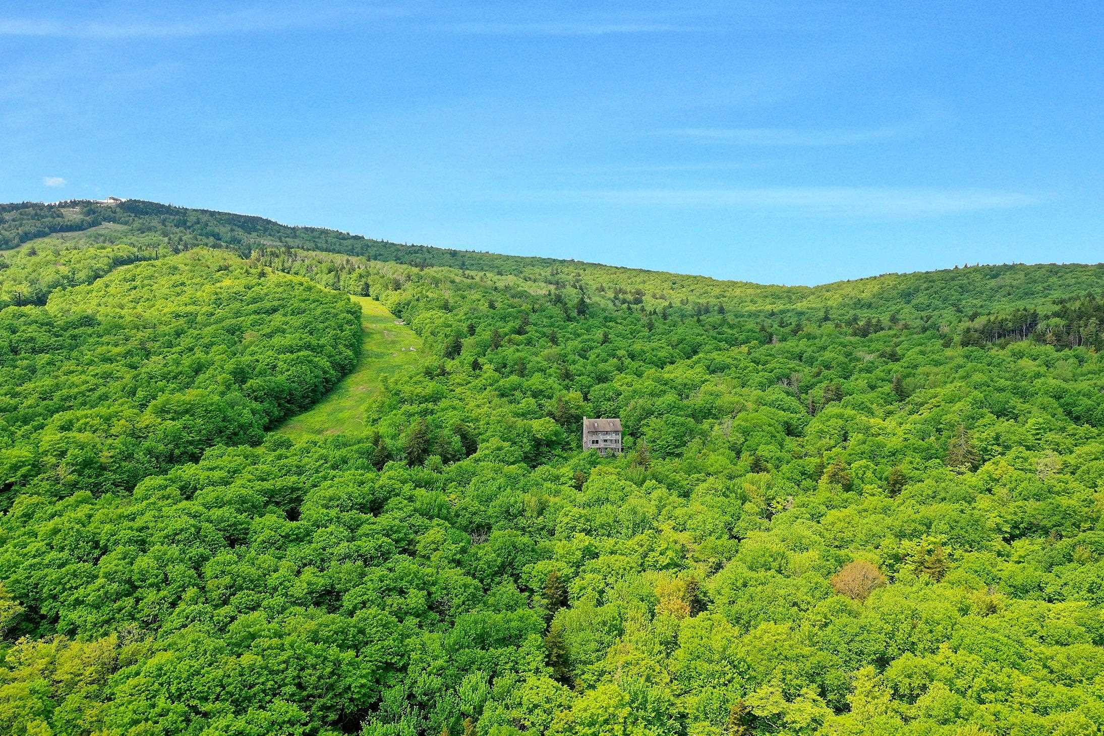 1300 Mountain Road