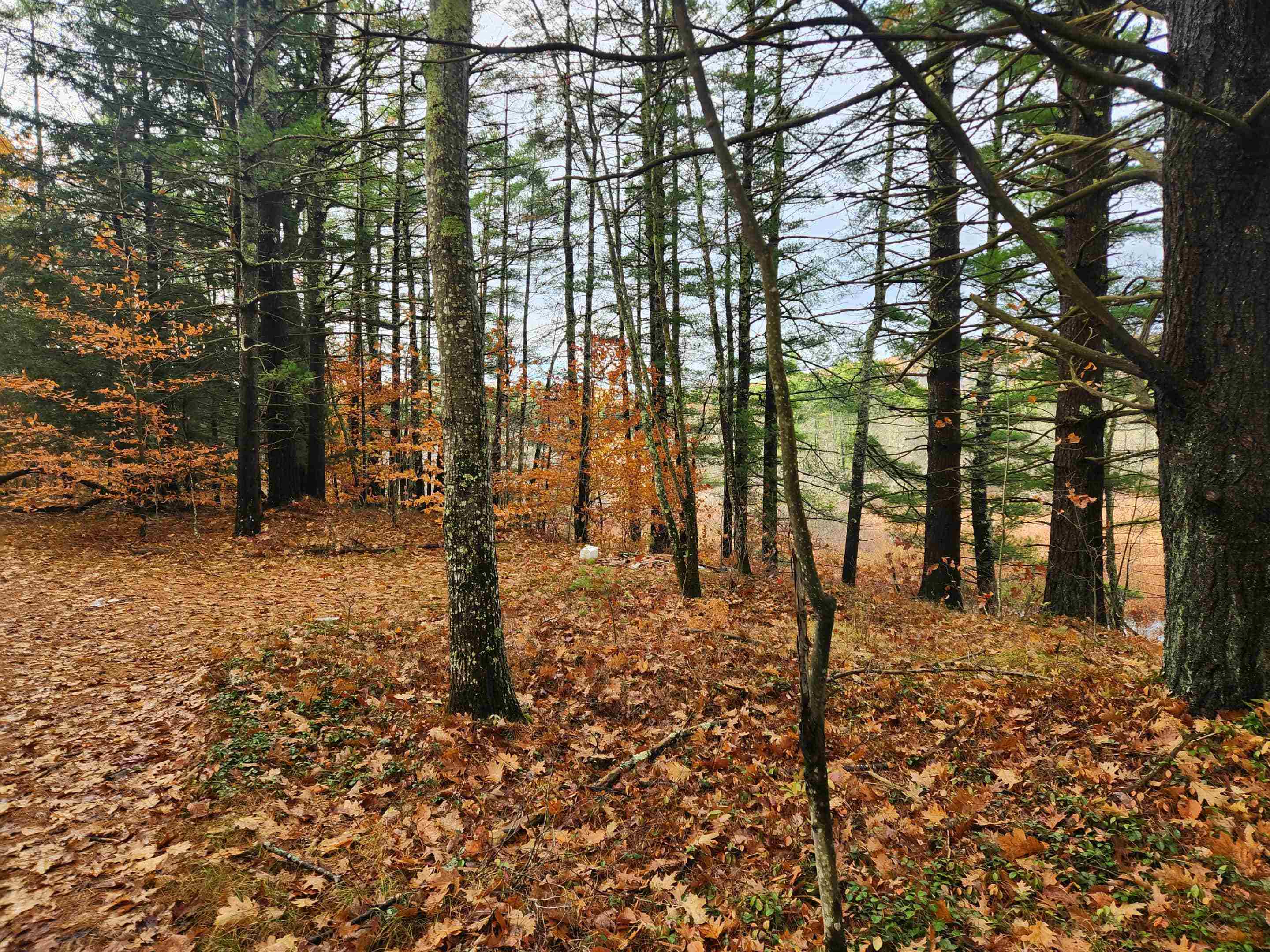 18 White Mountain Highway 18