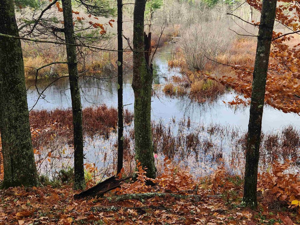 Photo of 18 White Mountain Highway #18, Wakefield, NH 03872 (MLS # 5070290)