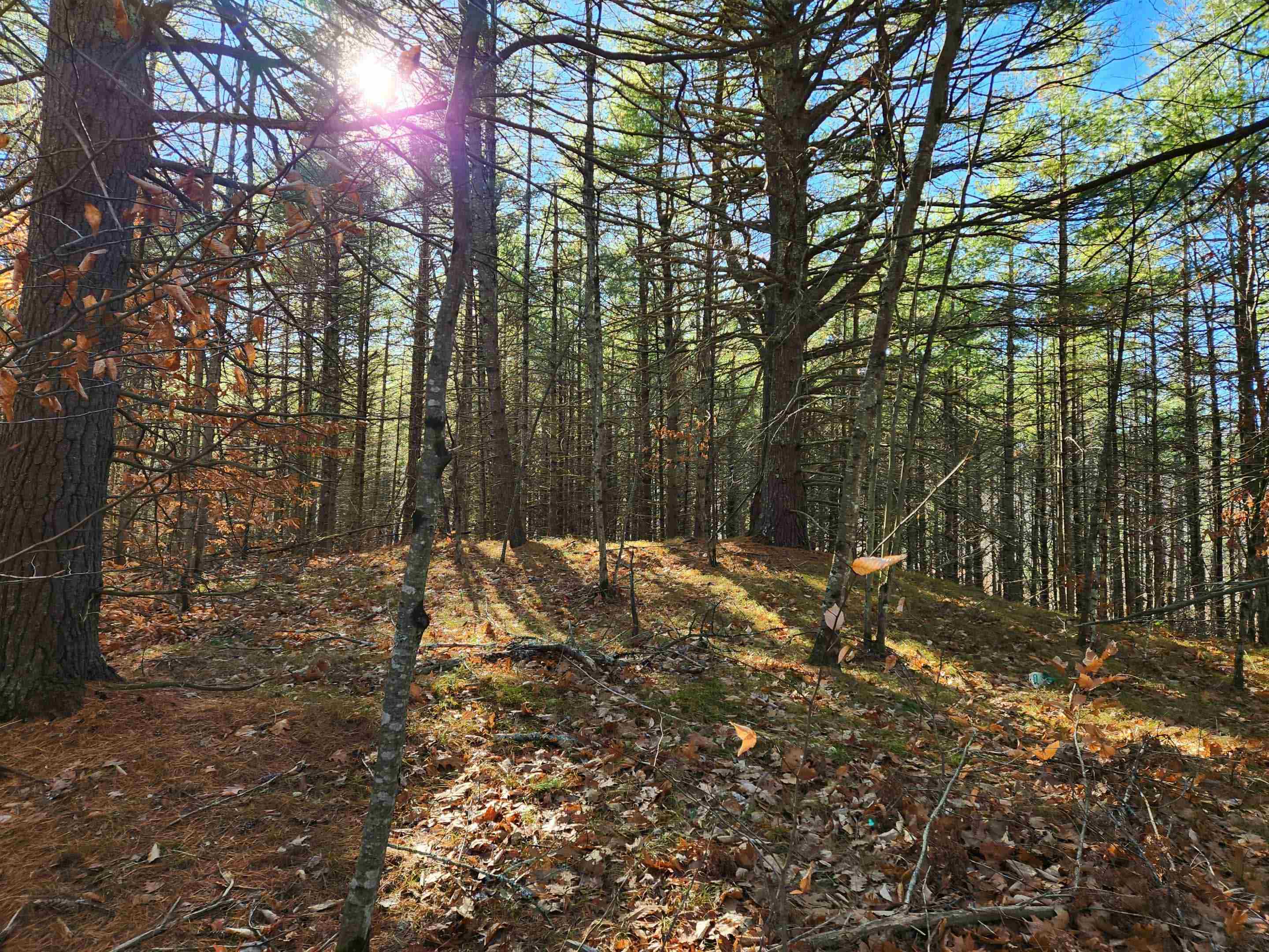 18 White Mountain Highway 18