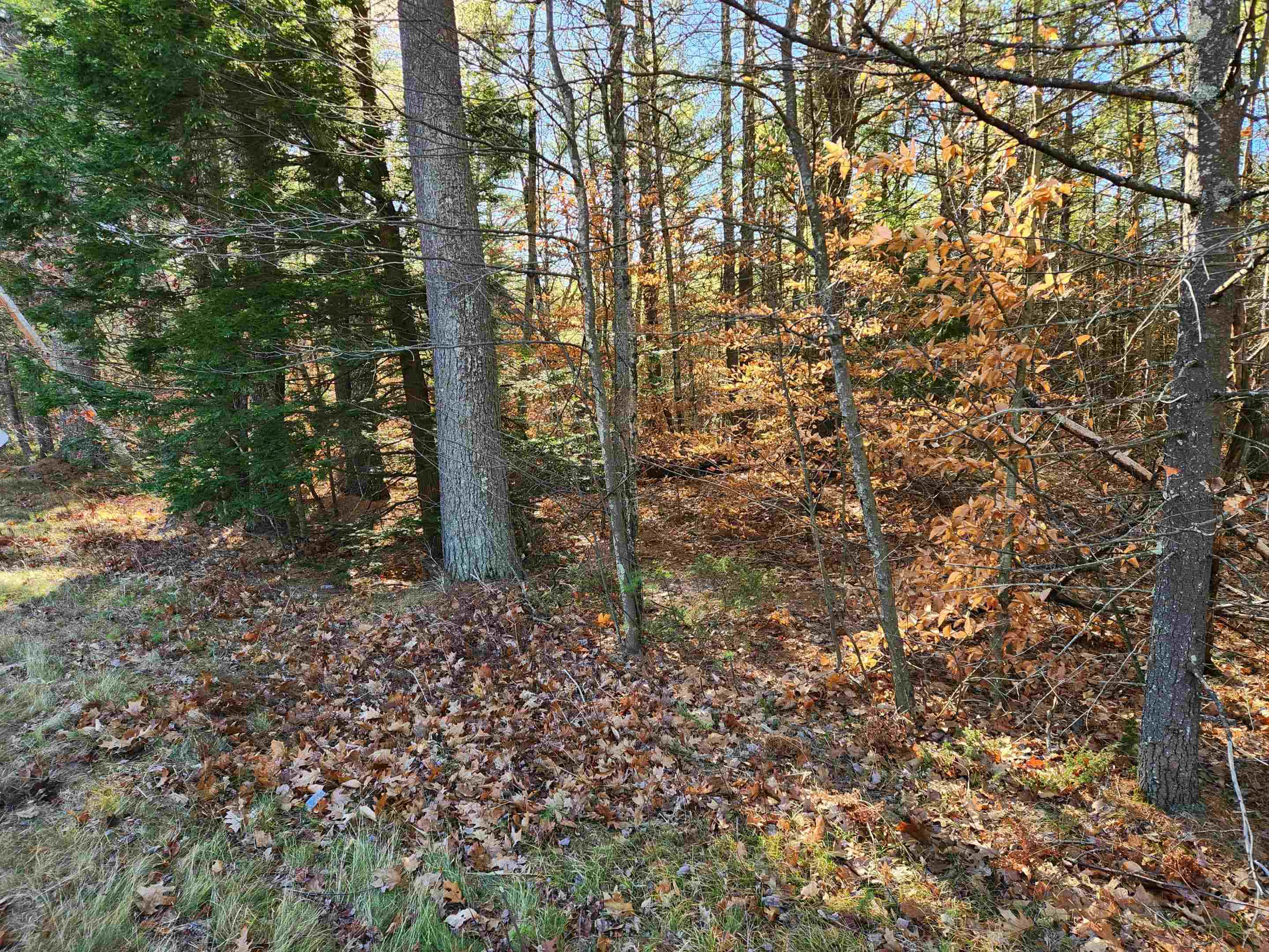 18 White Mountain Highway 18