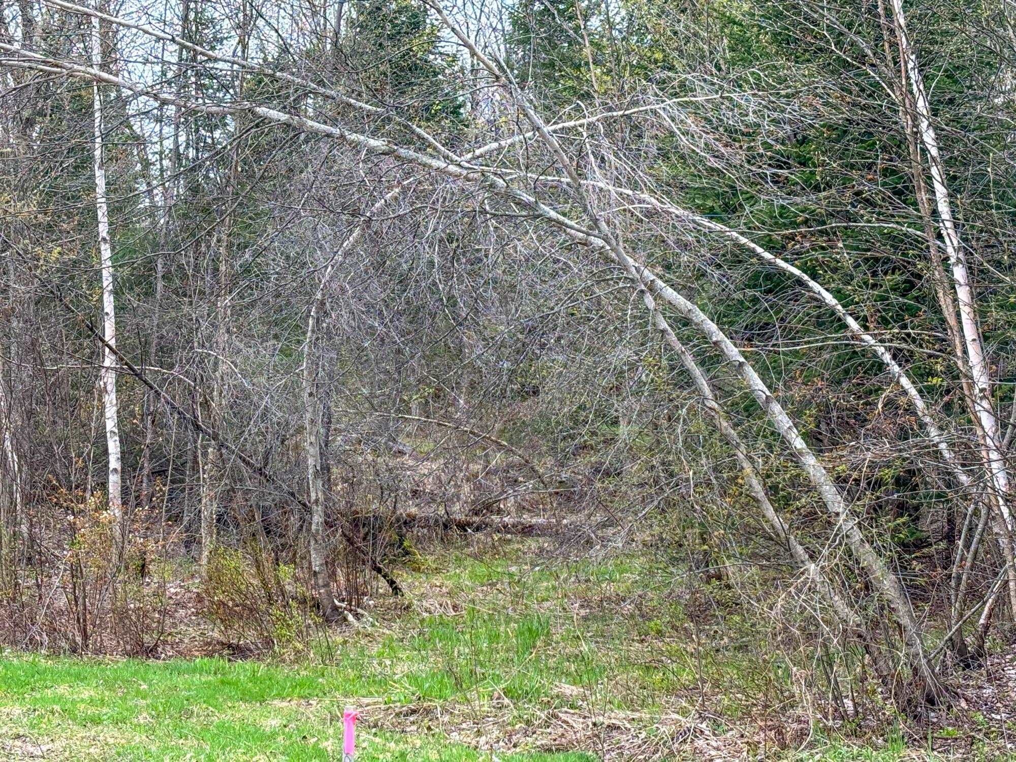 0 Atwood Road 5