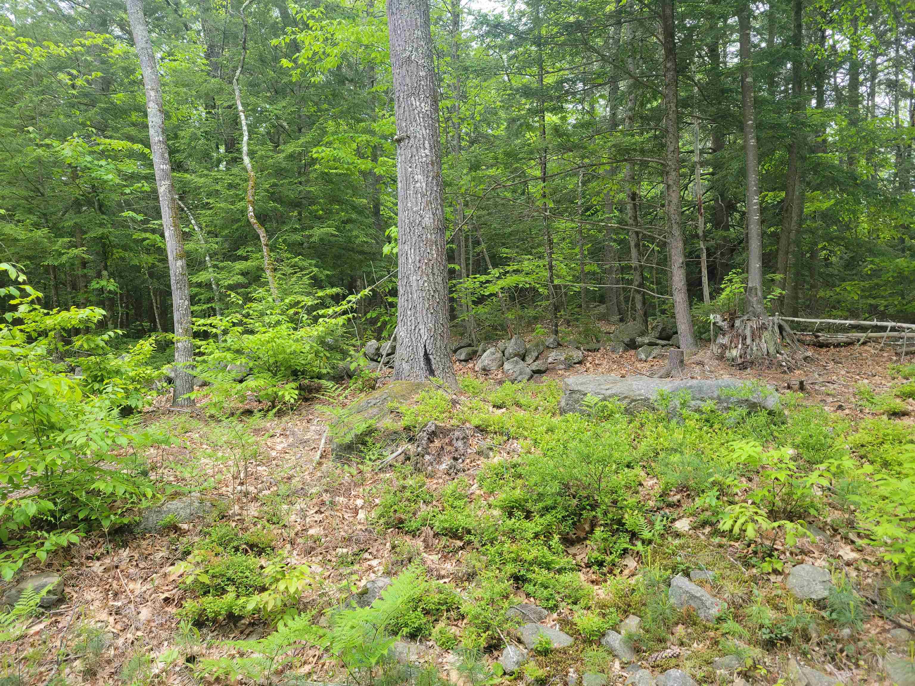Lot 1-9 Old Turnpike Road