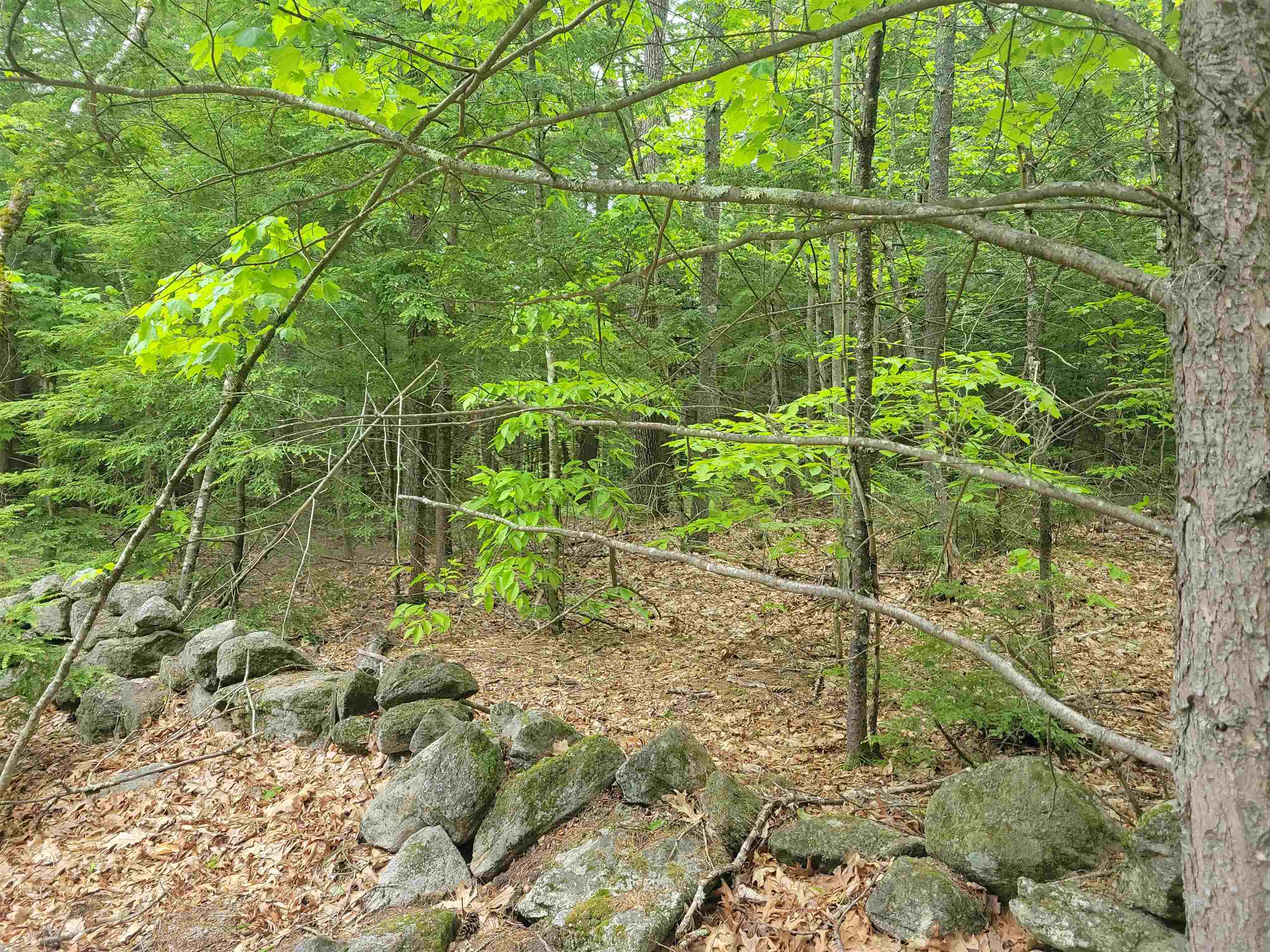 Epsom, New Hampshire 03234, United States, ,Land,Active,135900 Epsom, New Hampshire 03234, United States, ,Land,Active,135900