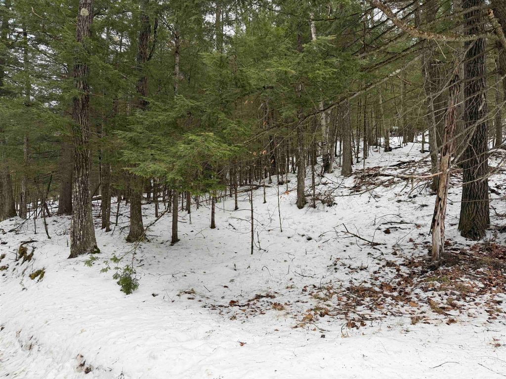 Photo of 00 Wetherbee Road #19, Lyman, NH 03585 (MLS # 5074299)