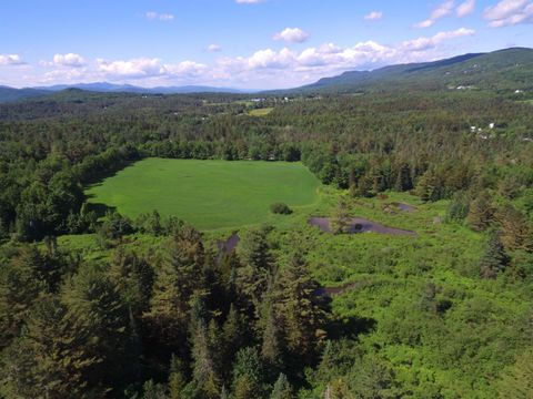813 Plunkton Road Warren VT 05674