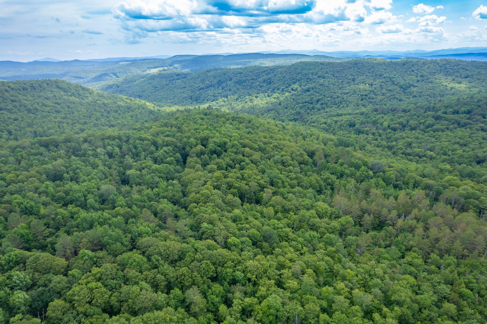 Strafford, Vermont 05072, United States, ,Land,Active,167501