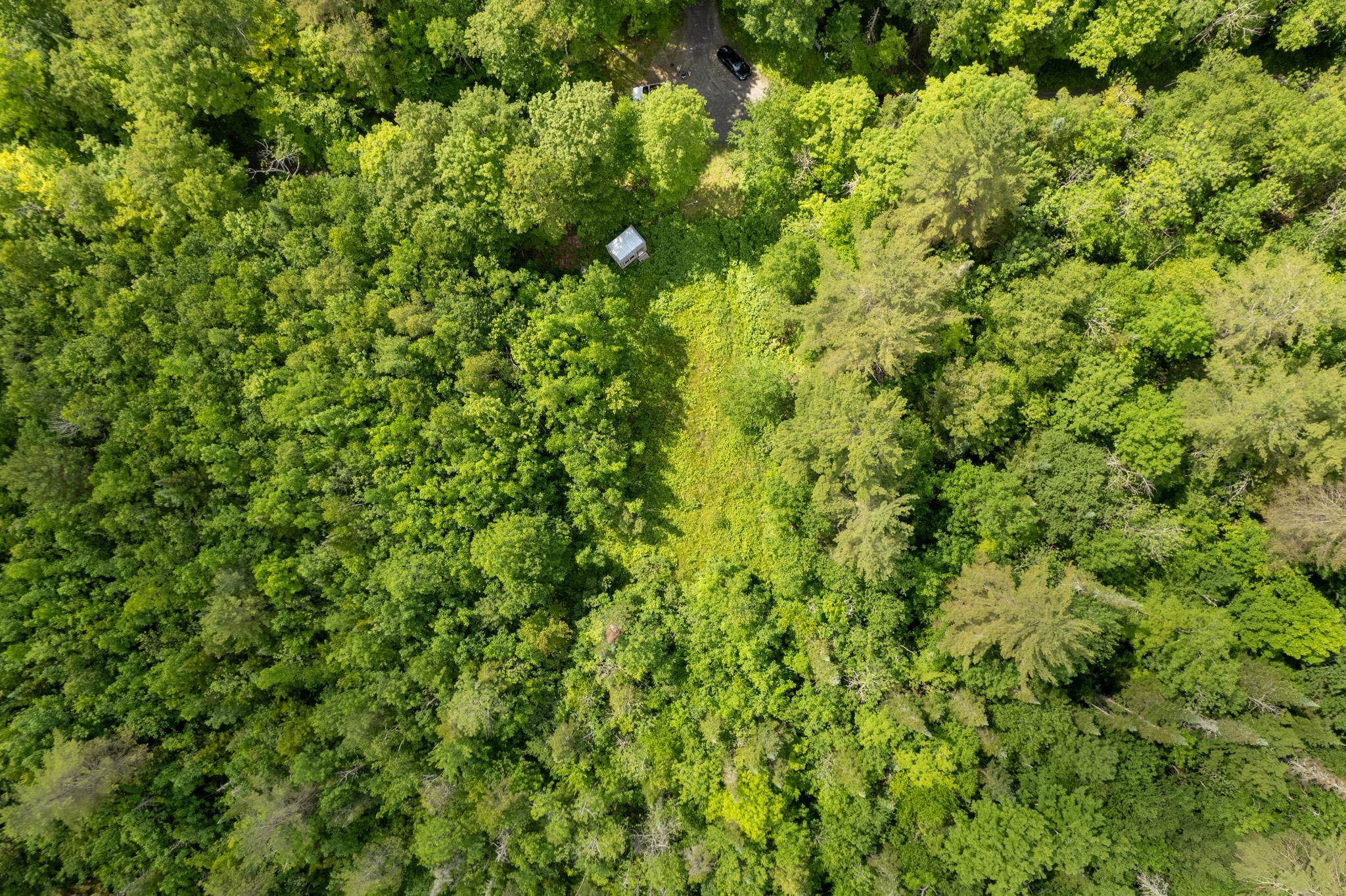 Strafford, Vermont 05072, United States, ,Land,Active,167501