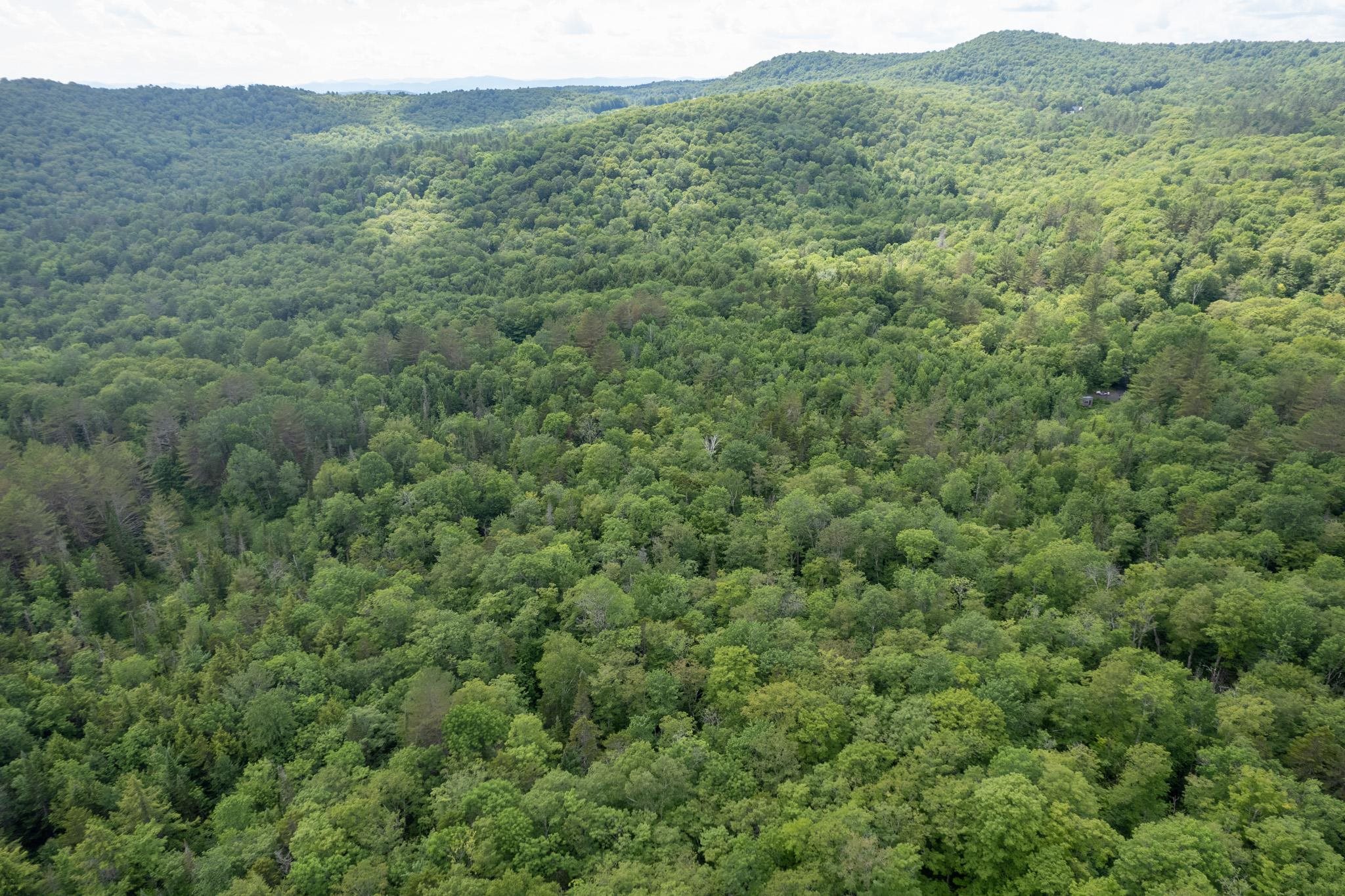 Strafford, Vermont 05072, United States, ,Land,Active,167501