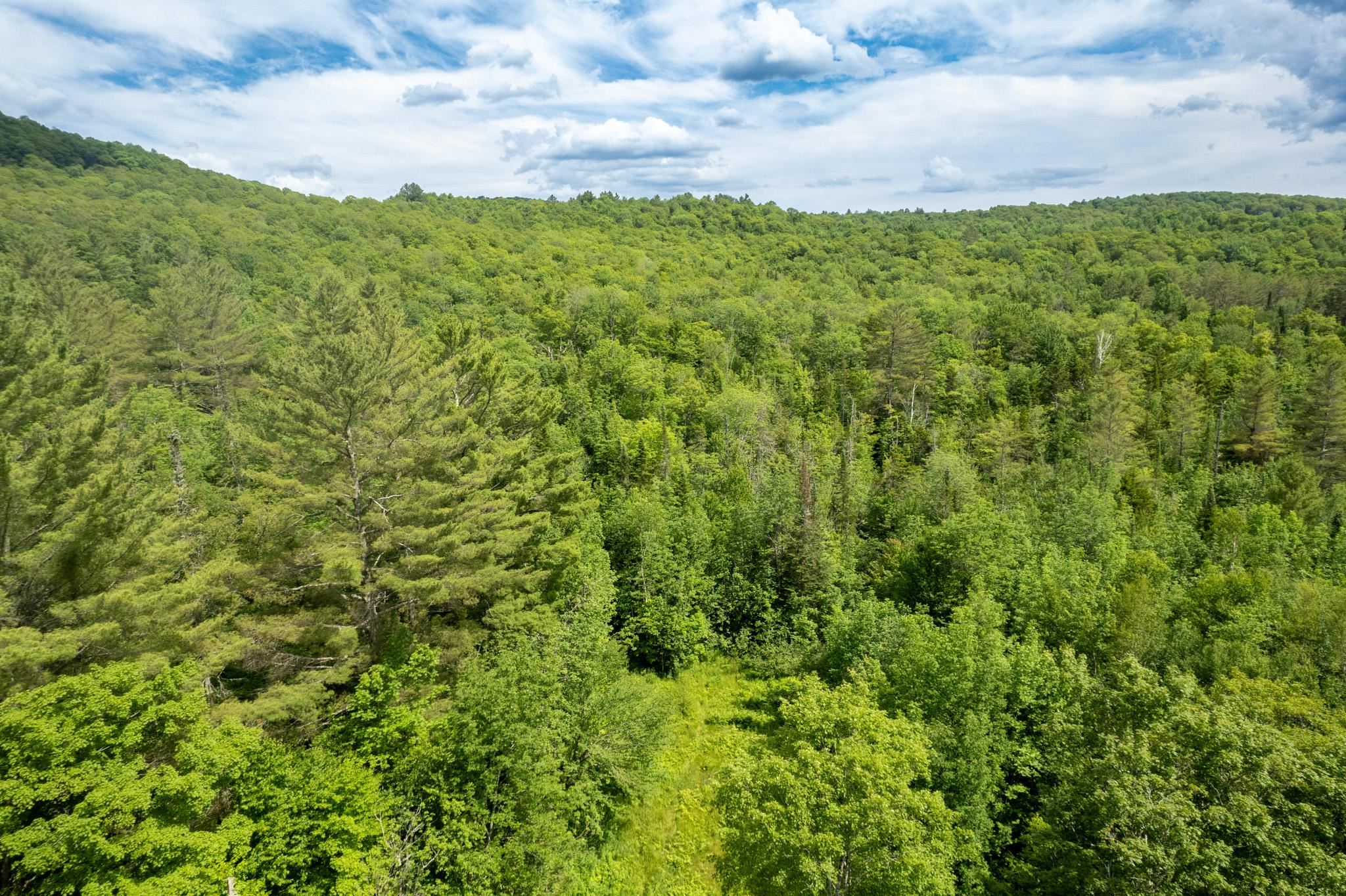 Strafford, Vermont 05072, United States, ,Land,Active,167501