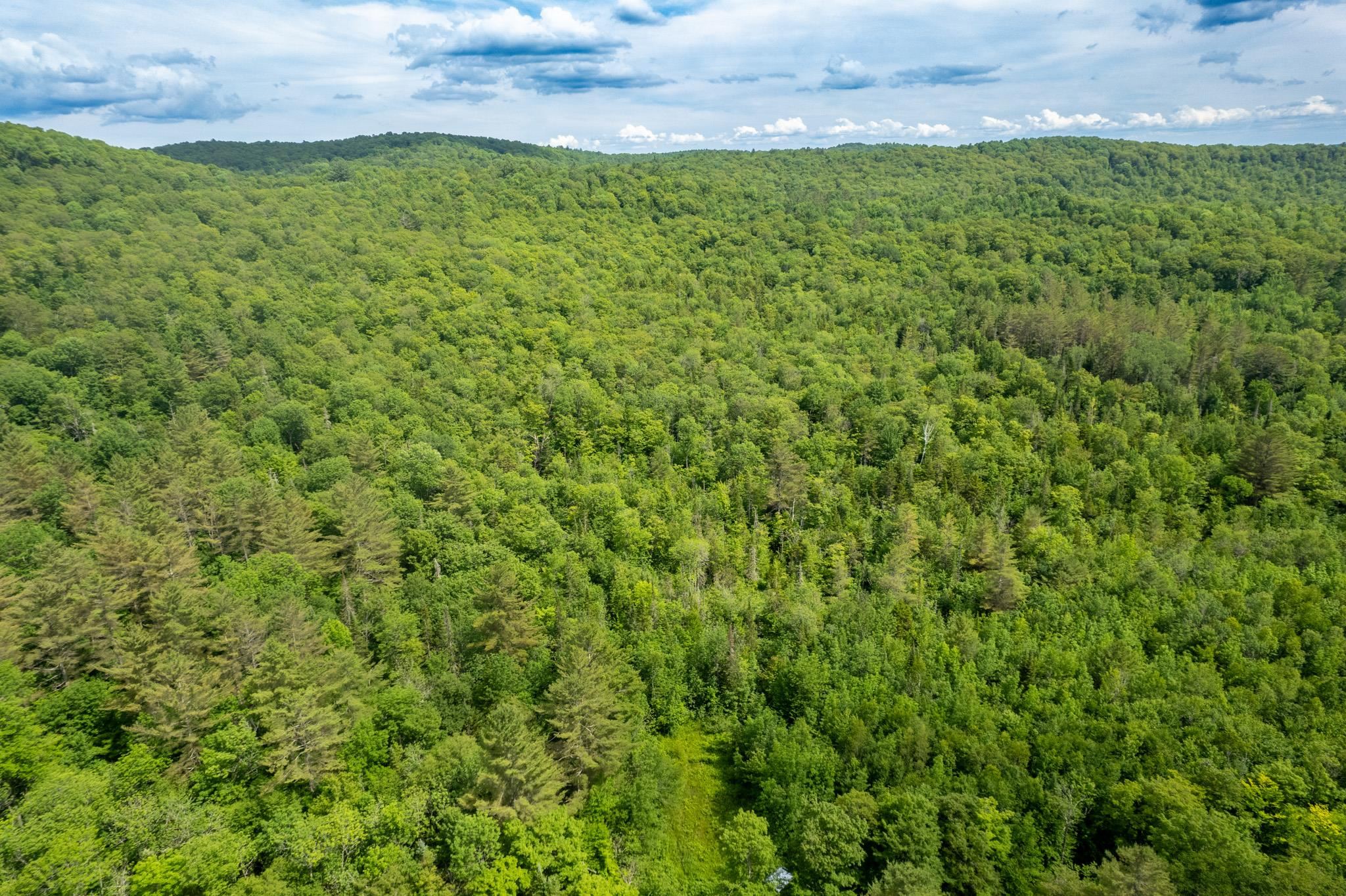 Strafford, Vermont 05072, United States, ,Land,Active,167501