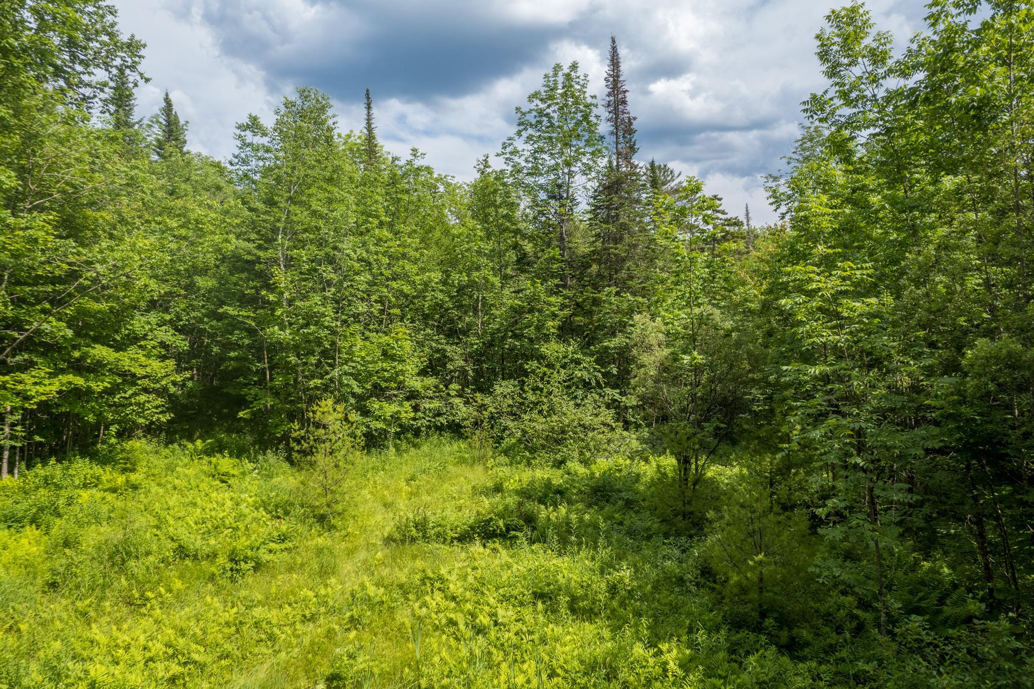 Strafford, Vermont 05072, United States, ,Land,Active,167501