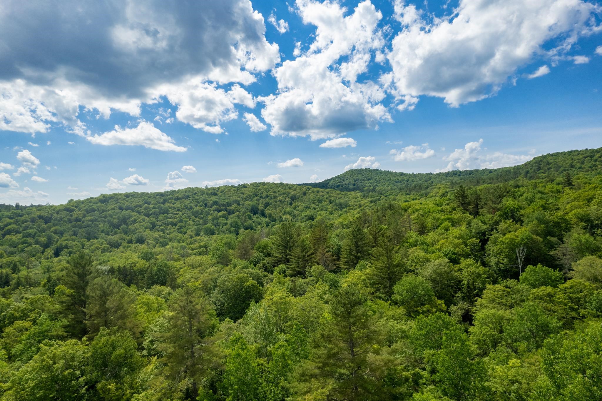 Strafford, Vermont 05072, United States, ,Land,Active,167501