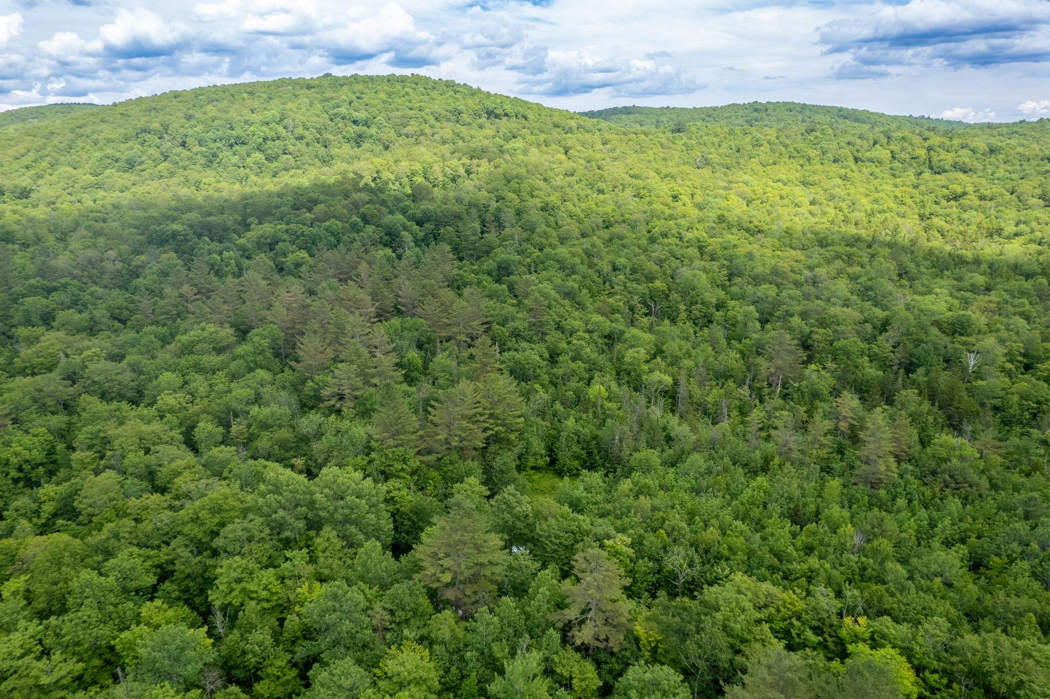 Strafford, Vermont 05072, United States, ,Land,Active,167501