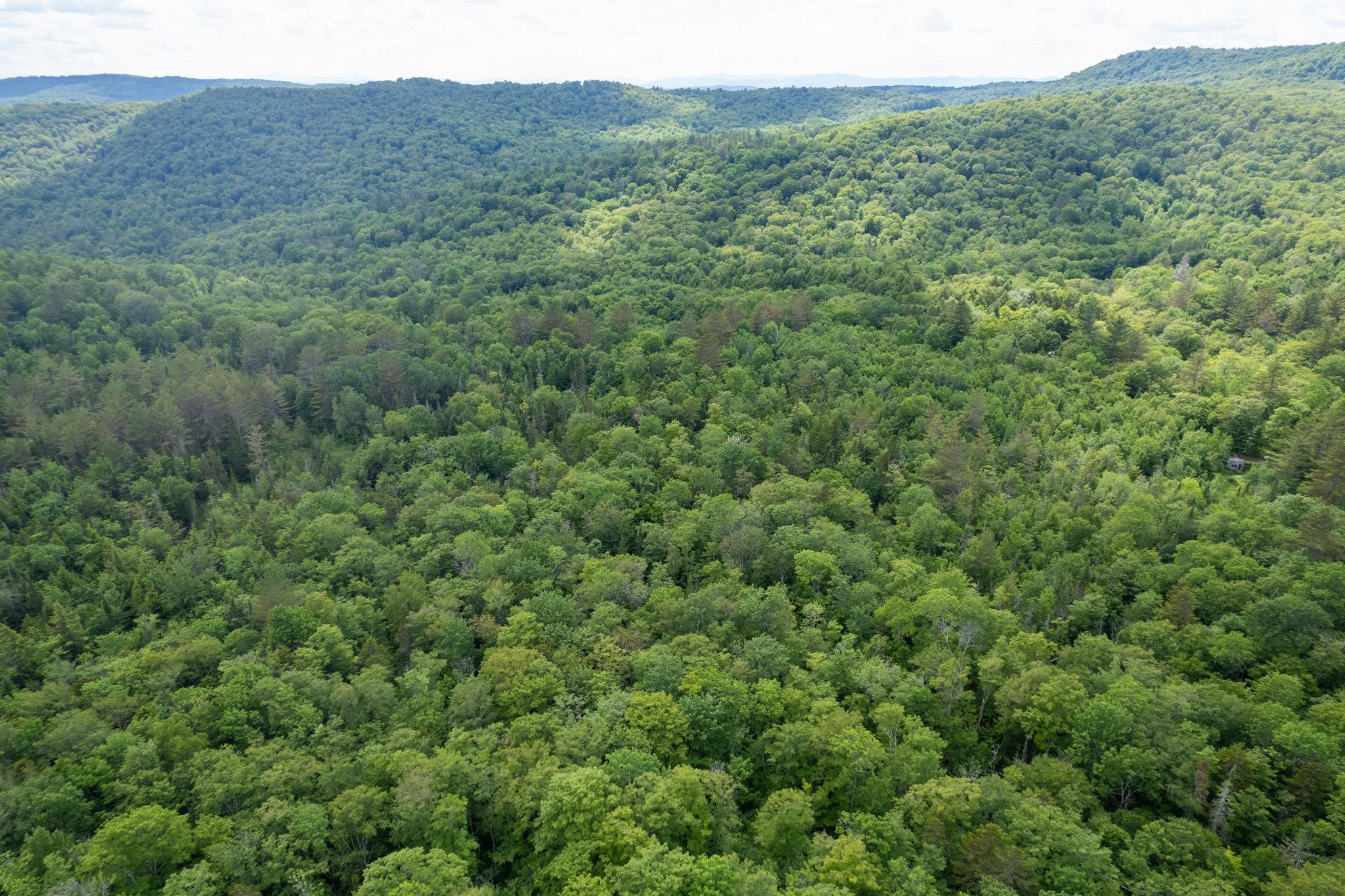 Strafford, Vermont 05072, United States, ,Land,Active,167501