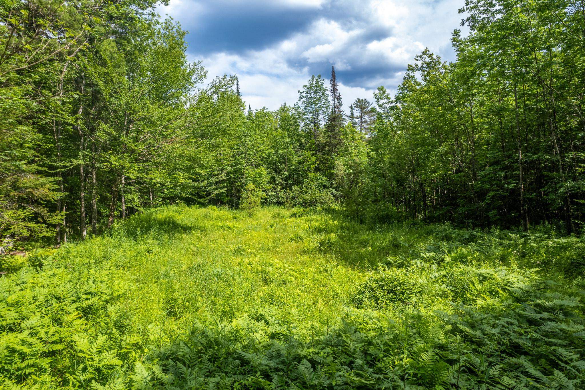 Strafford, Vermont 05072, United States, ,Land,Active,167501