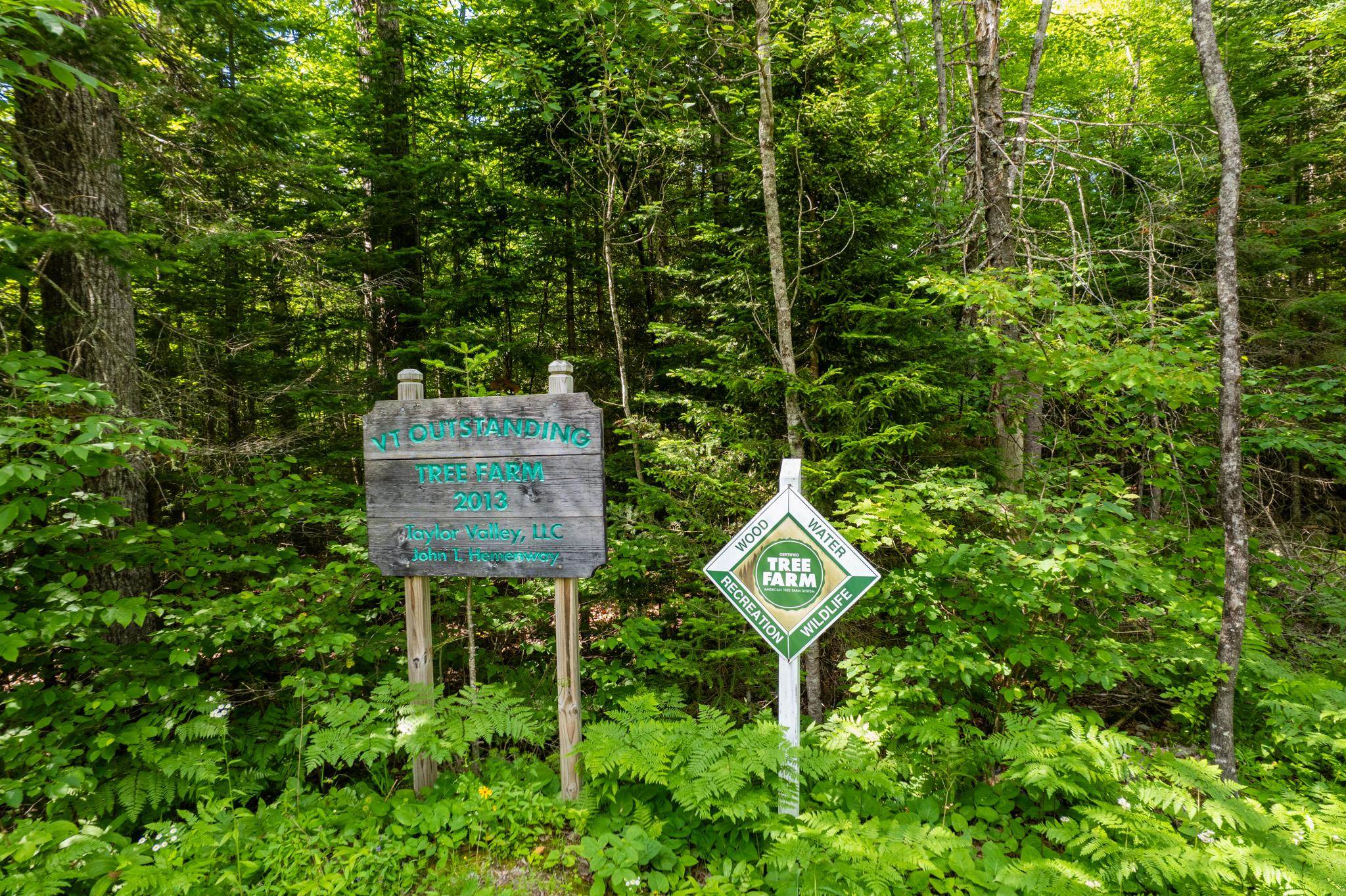 Strafford, Vermont 05072, United States, ,Land,Active,167501