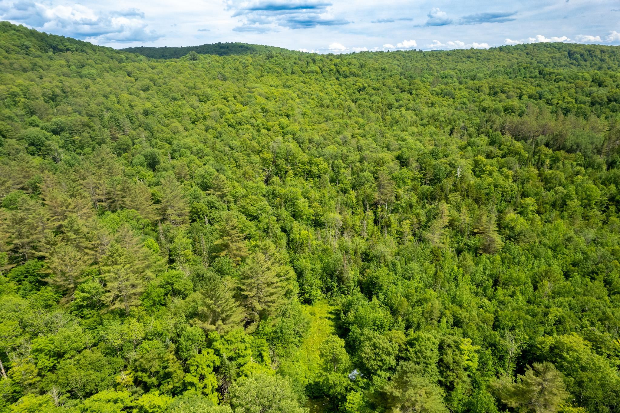 Strafford, Vermont 05072, United States, ,Land,Active,167501