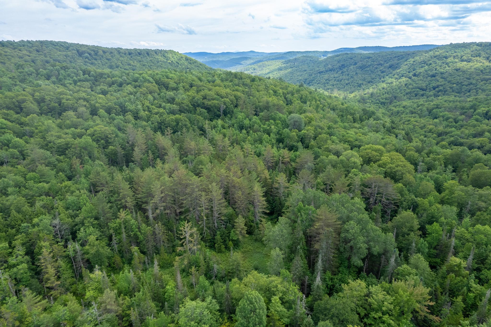 Strafford, Vermont 05072, United States, ,Land,Active,167501