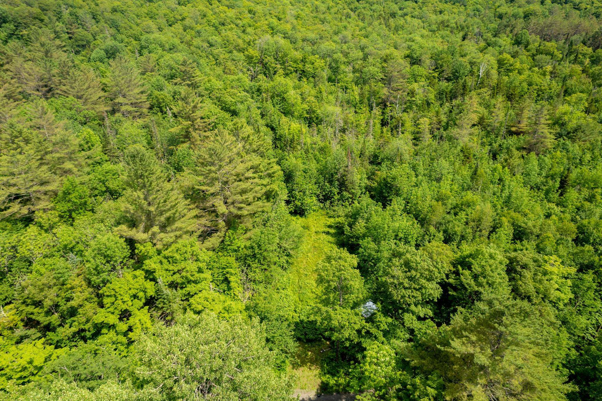 Strafford, Vermont 05072, United States, ,Land,Active,167501