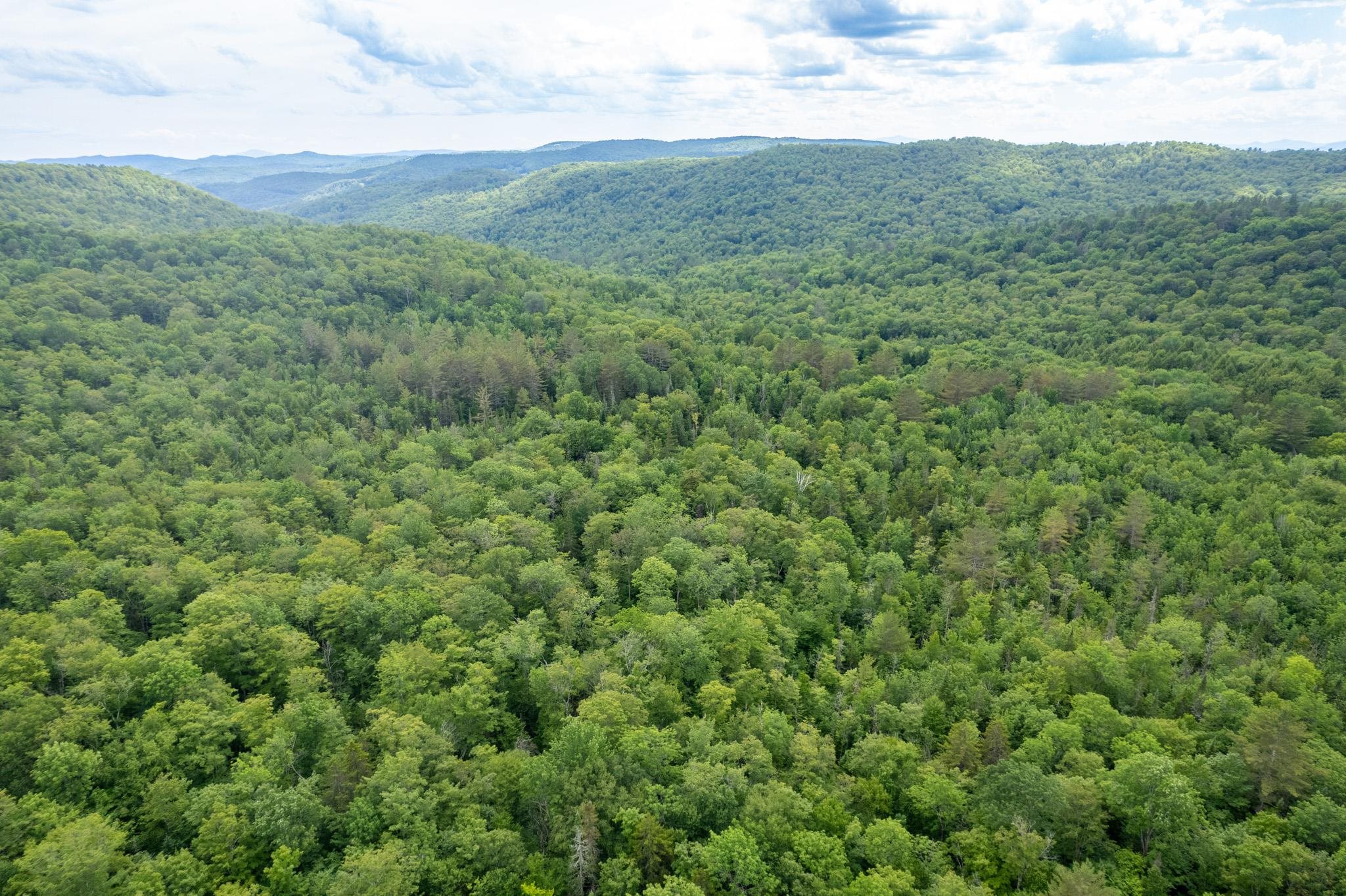 Strafford, Vermont 05072, United States, ,Land,Active,167501