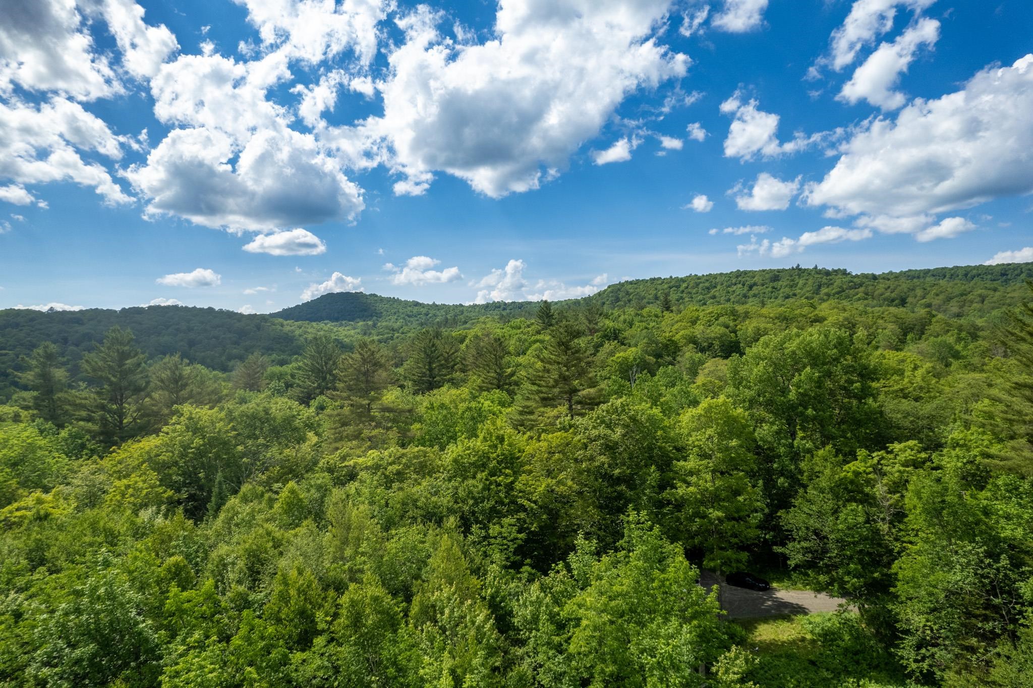 Strafford, Vermont 05072, United States, ,Land,Active,167501