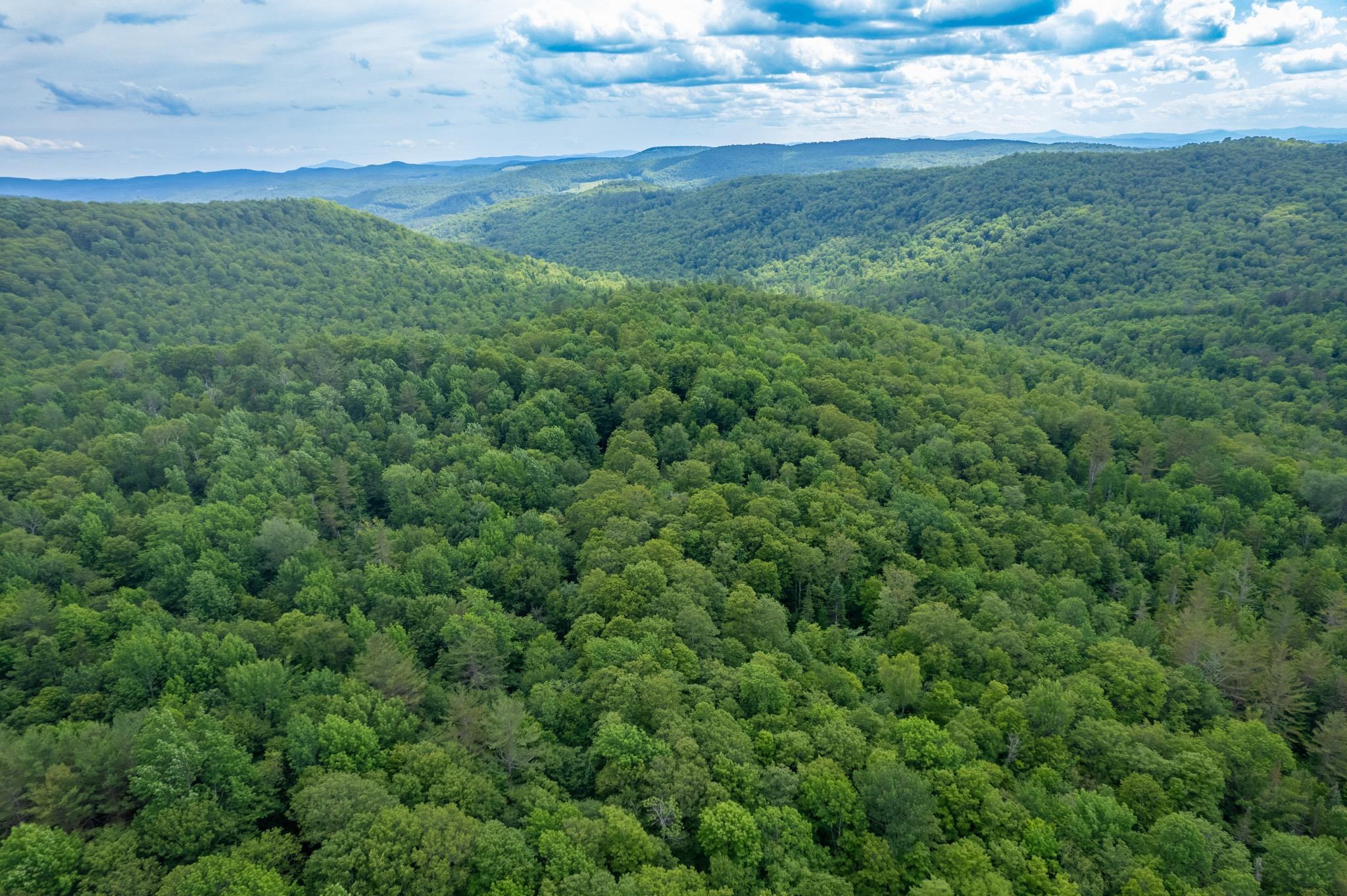 Strafford, Vermont 05072, United States, ,Land,Active,167501