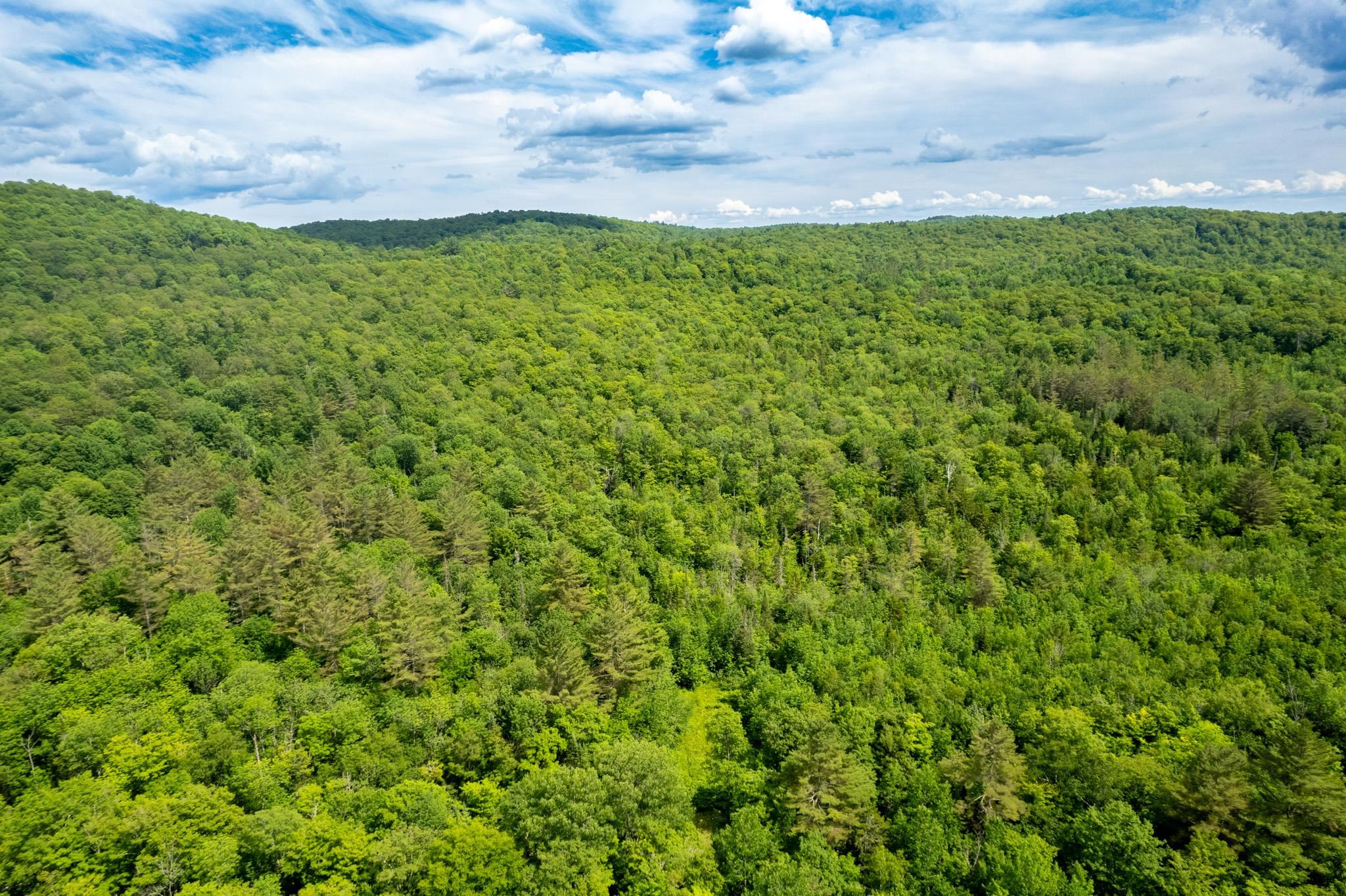 Strafford, Vermont 05072, United States, ,Land,Active,167501