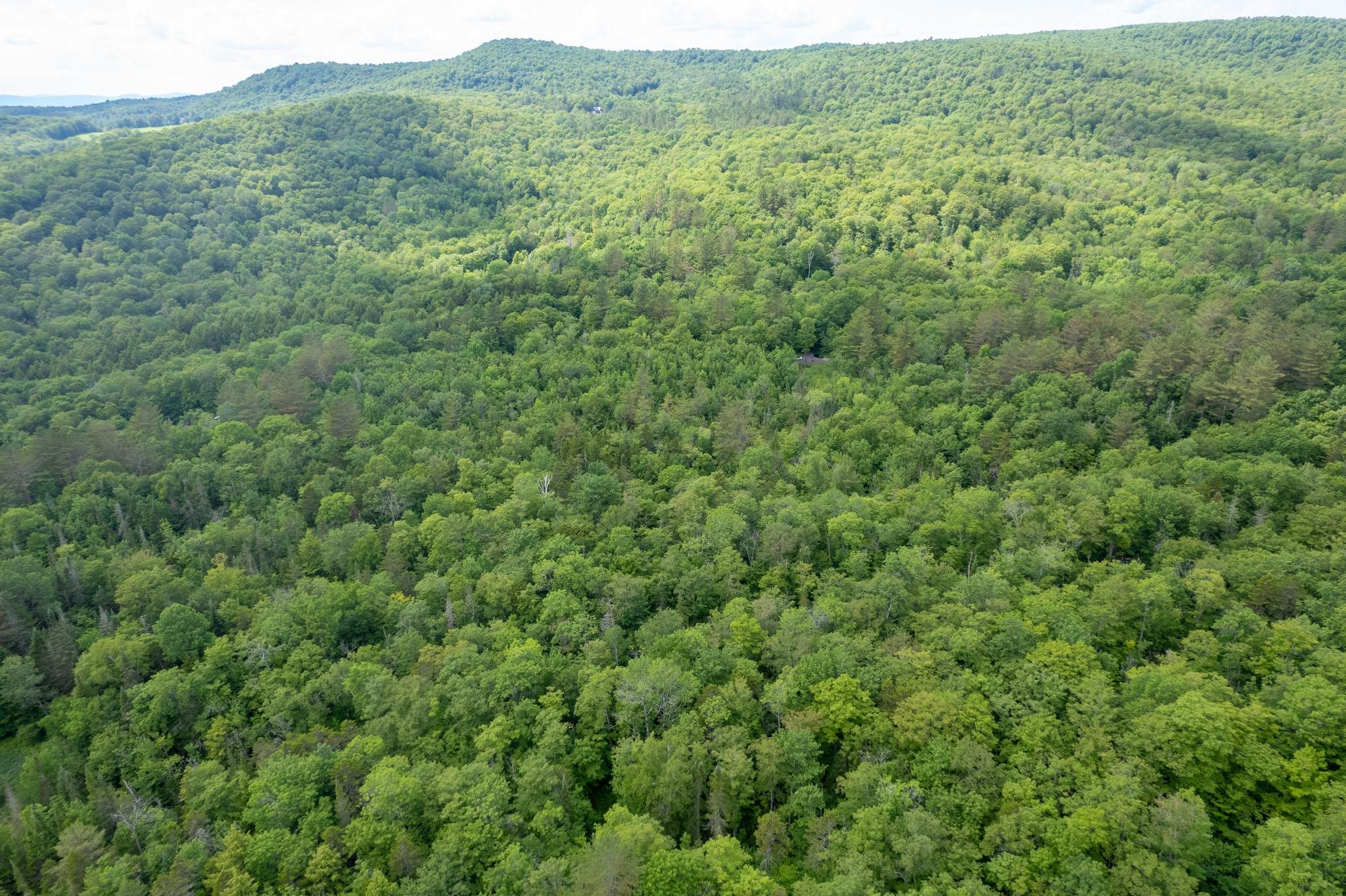 Strafford, Vermont 05072, United States, ,Land,Active,167501