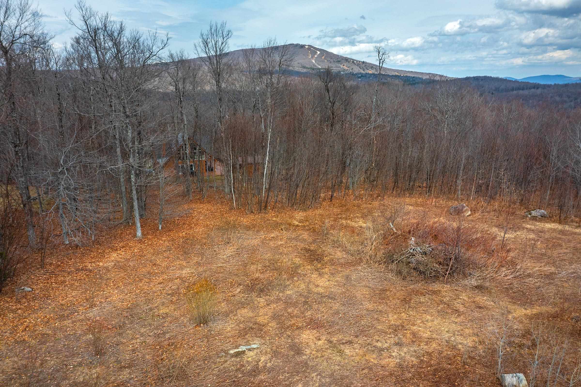 23 Moose Hollow Road 40