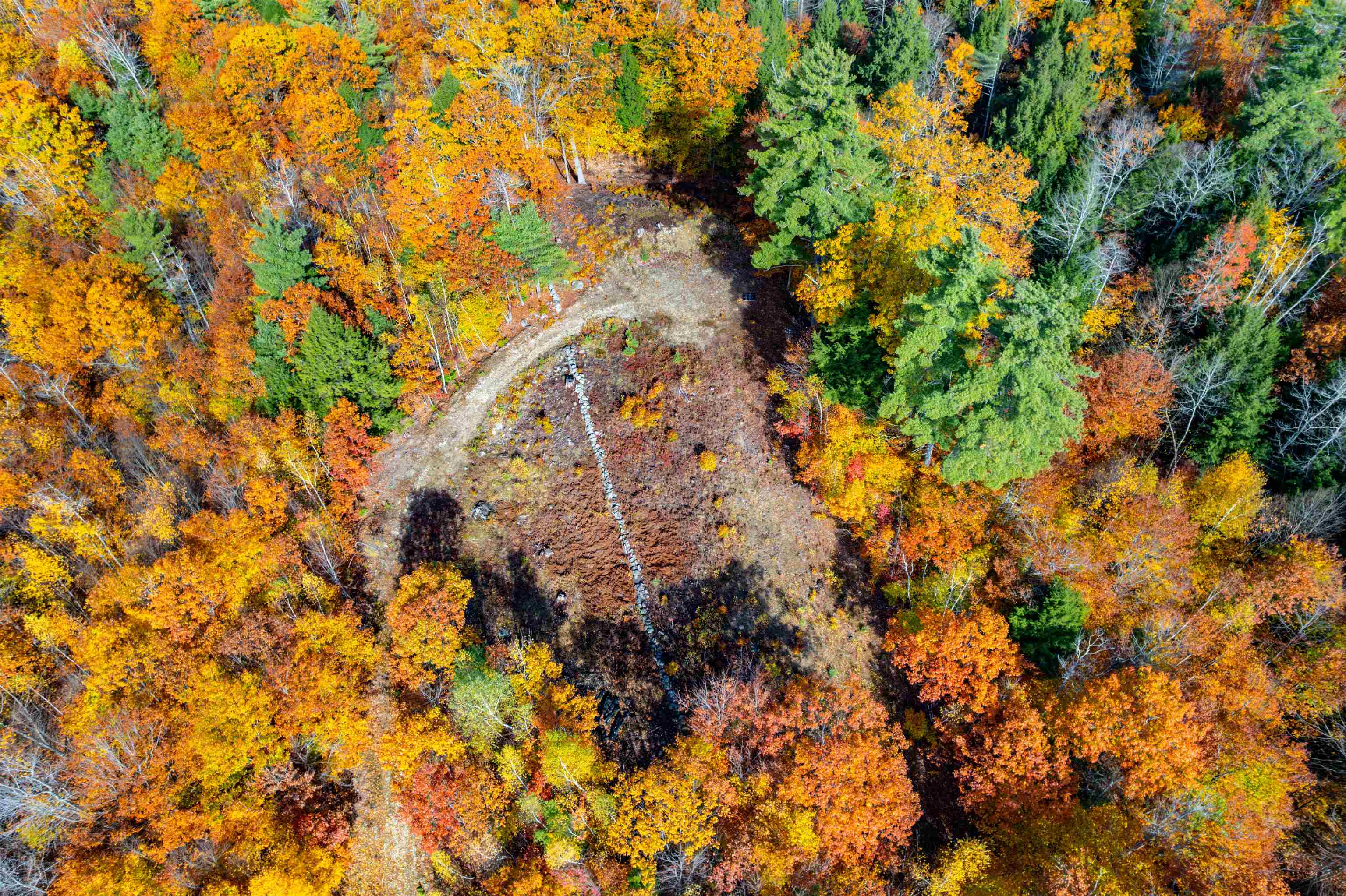 Lots 1 & 2 Hall Road