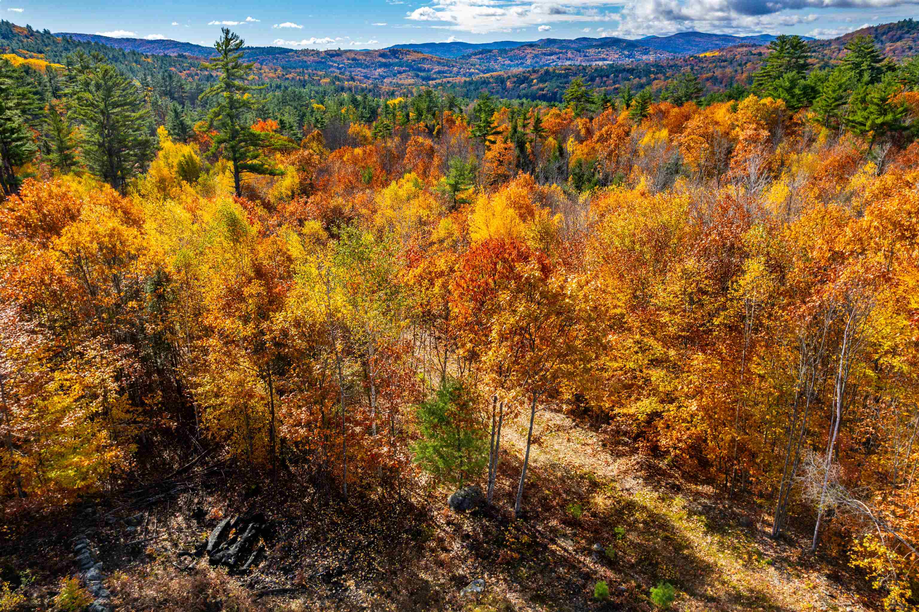 Lots 1 & 2 Hall Road