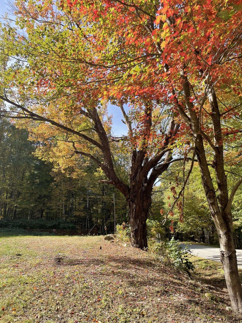 Photo of 327 South Road, Bethlehem, NH 03574 (MLS # 5085793)