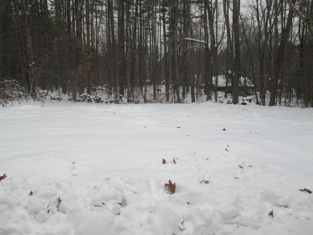 Photo of 12 Gerrish Drive, Nottingham, NH 03290 (MLS # 5071176)