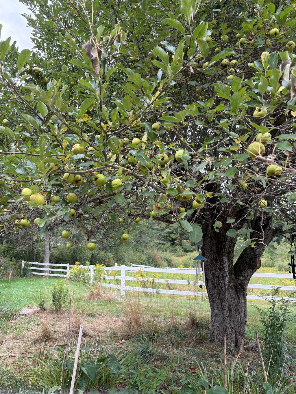 Photo of 715 Gilmore Pond Road, Jaffrey, NH 03452 (MLS # 5059003)