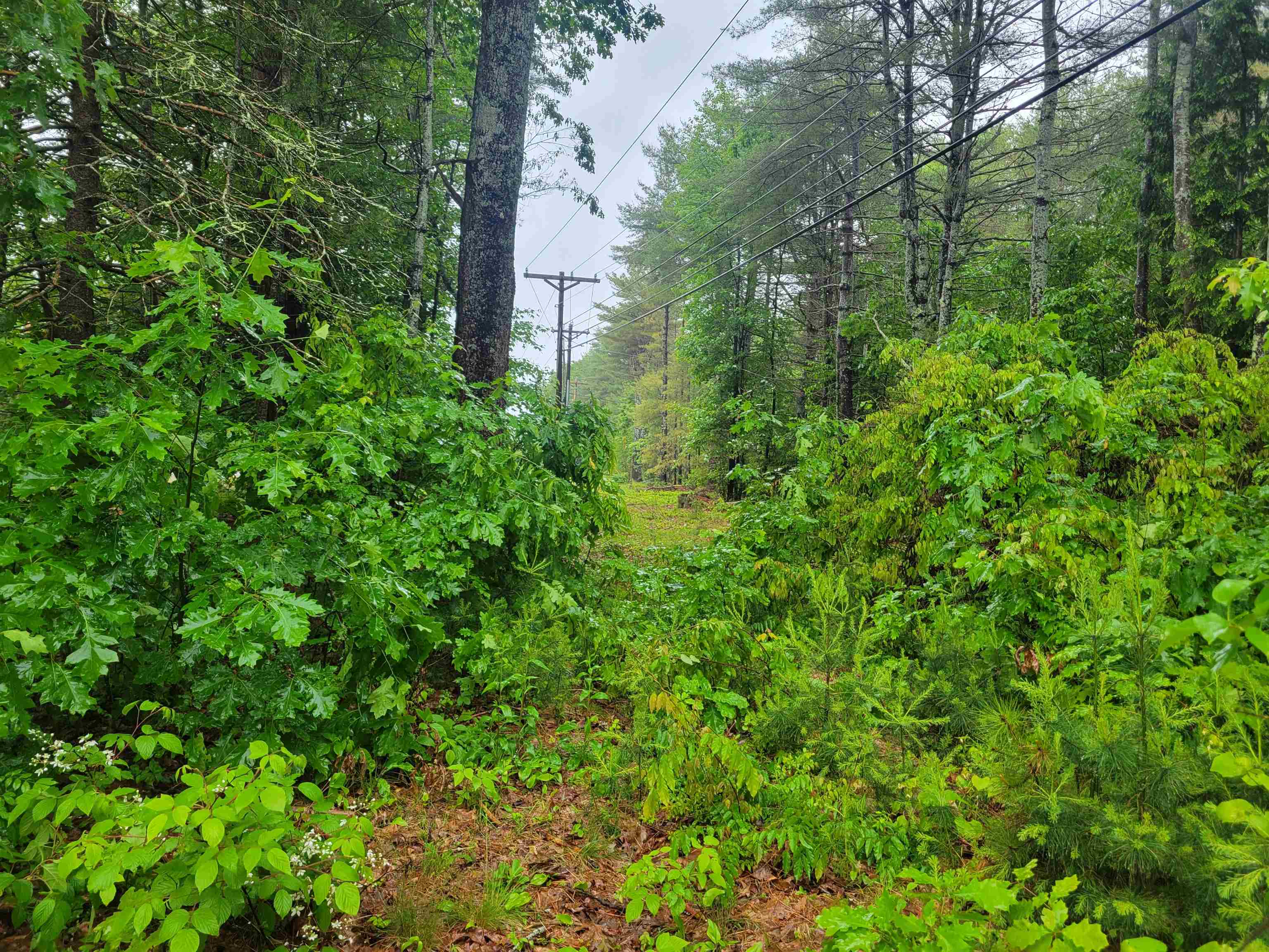 Andover, New Hampshire 03231, United States, 2 Bedrooms Bedrooms, ,1 BathroomBathrooms,Residential,Pending,149165