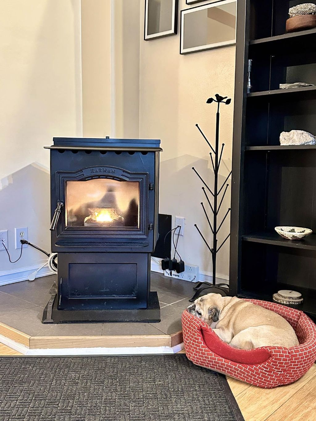 Photo of 41 Chaddarin Lane, Plymouth, NH 03264 (MLS # 5082369)