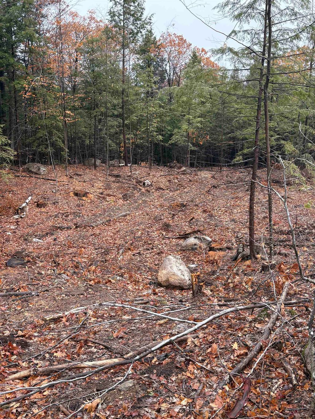 Photo of 7 Sugarloaf Drive #8, Ossipee, NH 03814 (MLS # 5069132)