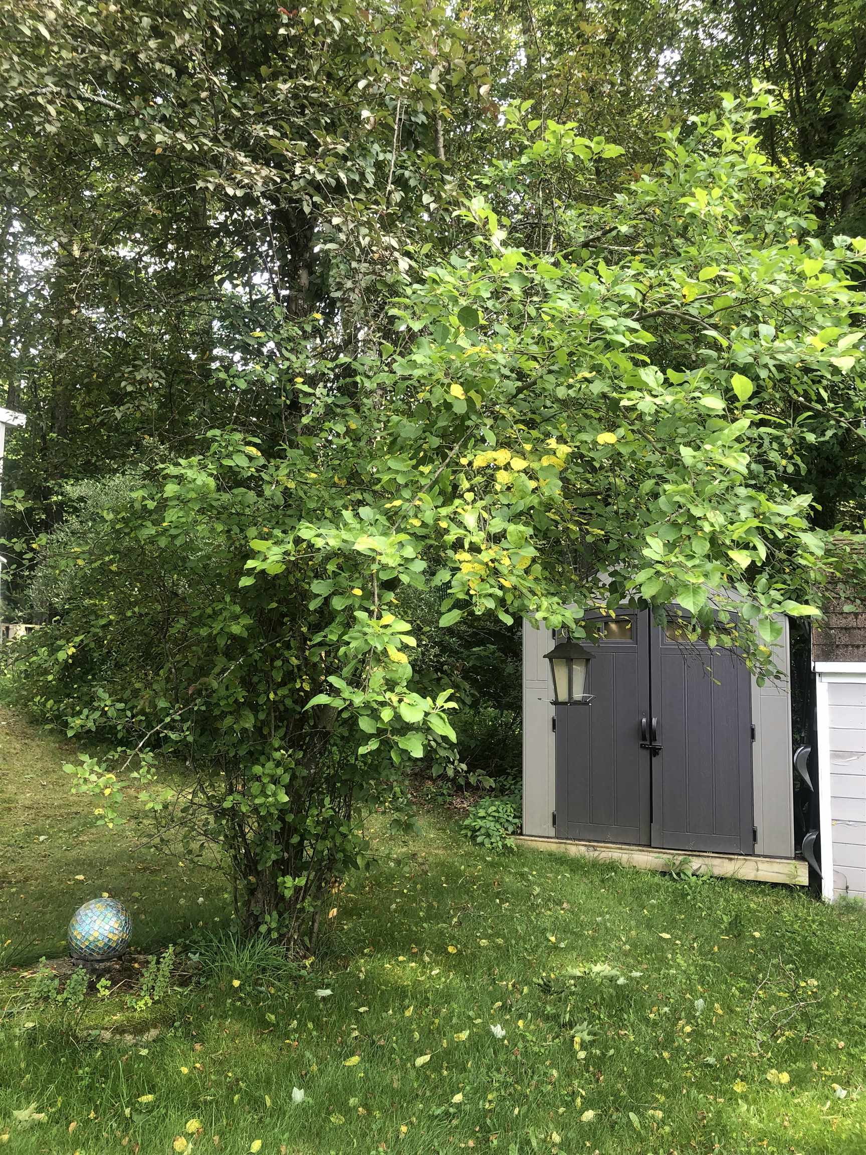 18 Breezy Acres Mobile Home Park