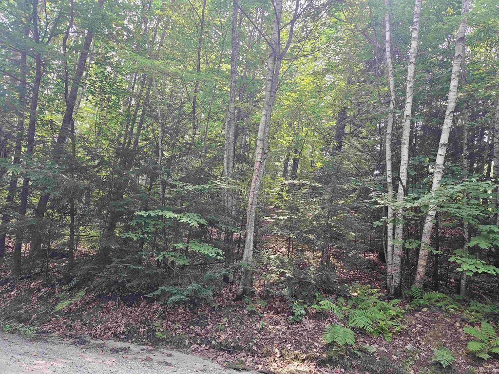 Photo of 254 Kearsage Drive, Haverhill, NH 03765 (MLS # 5085163)